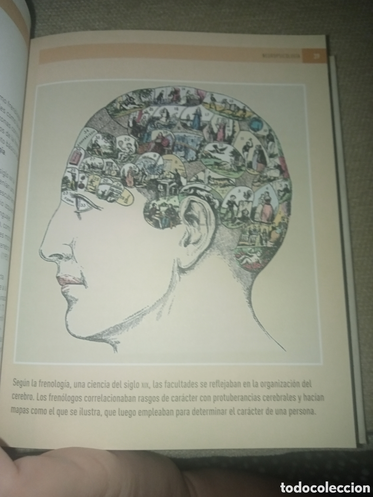 Libros de segunda mano: Psicolog&iacute;a 100 conceptos - Foto 6
