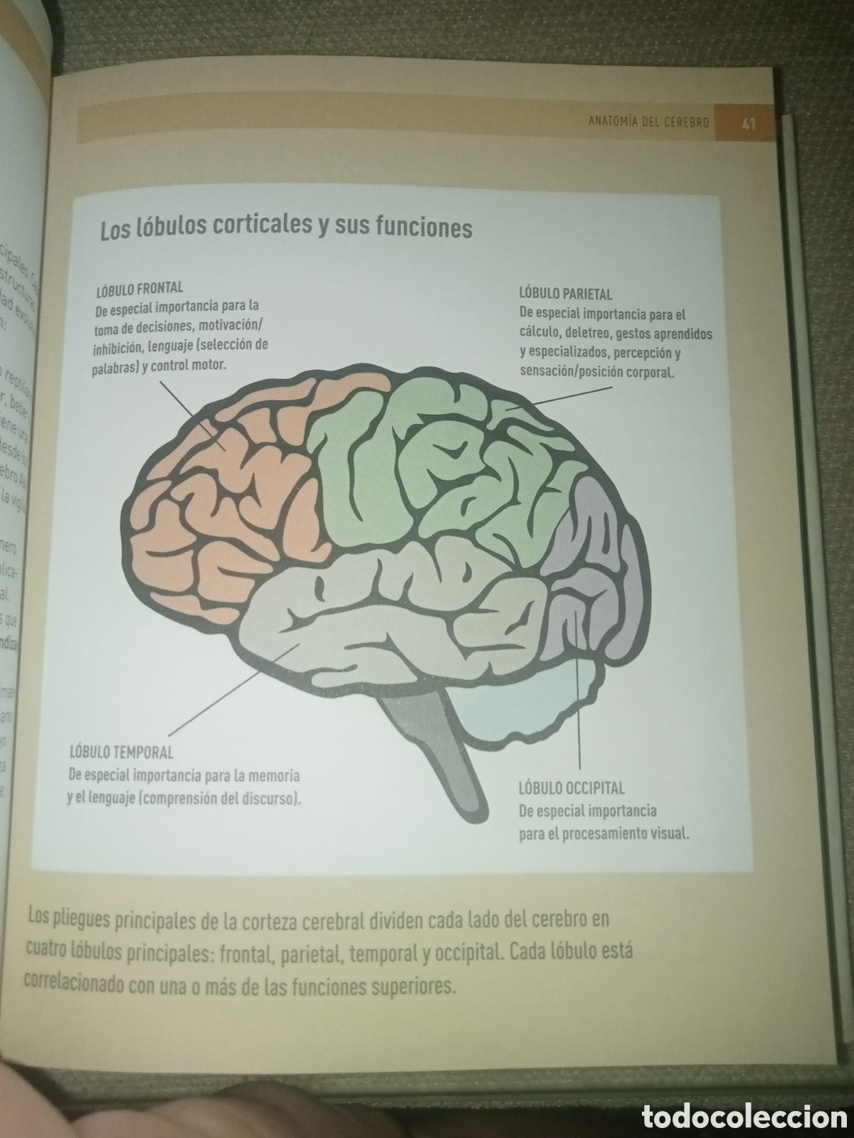 Libros de segunda mano: Psicolog&iacute;a 100 conceptos - Foto 7