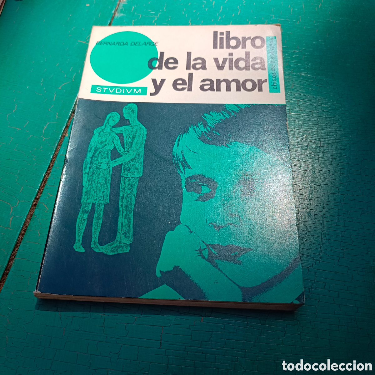 Gebrauchte B&uuml;cher: Libro de la vida y el amor para CHICOS de 8 a 14 a&ntilde;os Bernarda delagare