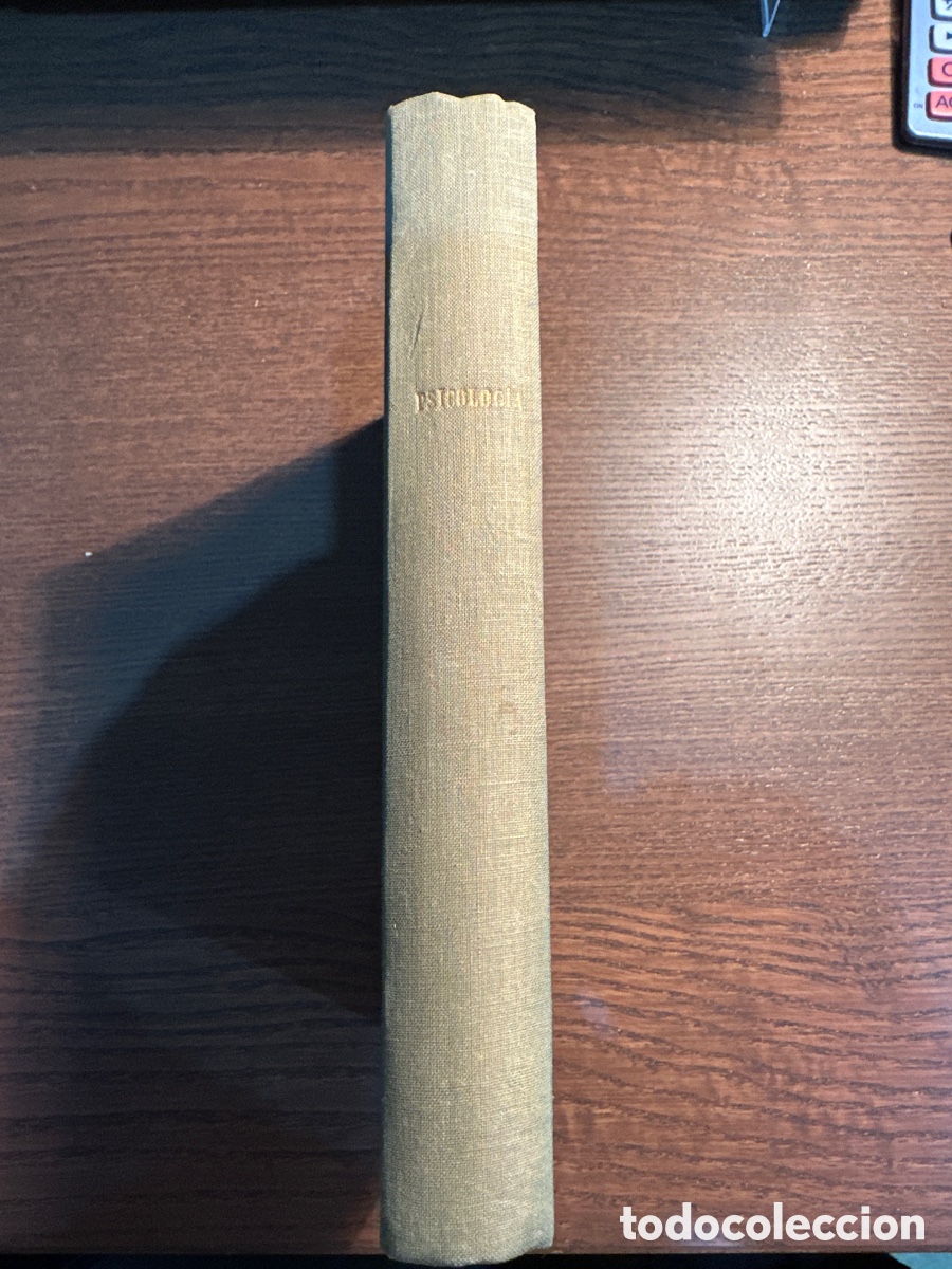 Gebrauchte B&uuml;cher: PSICOLOG&Iacute;A EXPERIMENTAL Y FILOS&Oacute;FICA de Fernando Mar&iacute;a Palmes