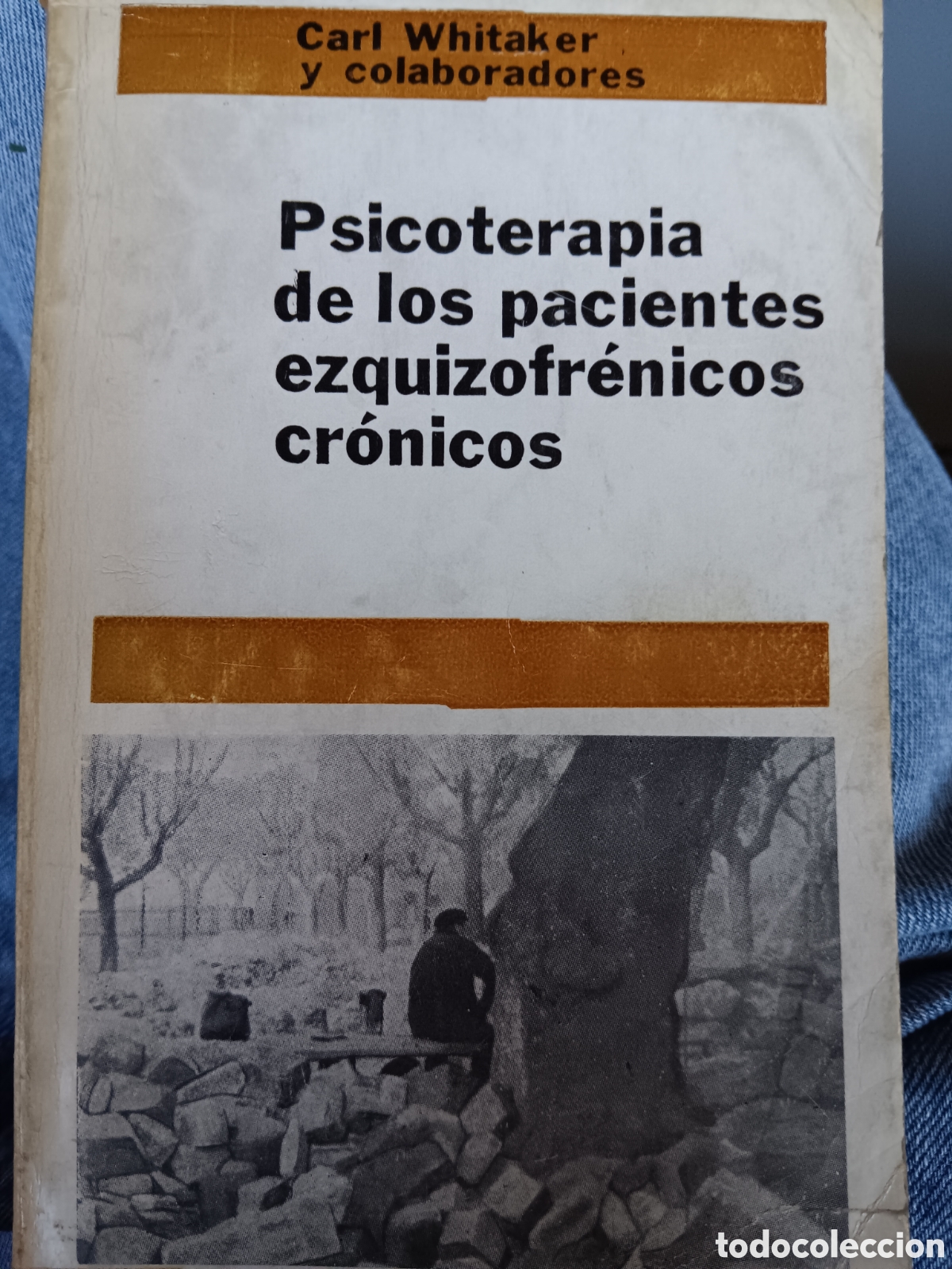 Libros de segunda mano: Carl Whitaker y colaboradores. Psicoterapia de los pacientes esquizofr&eacute;nicos cr&oacute;nicos