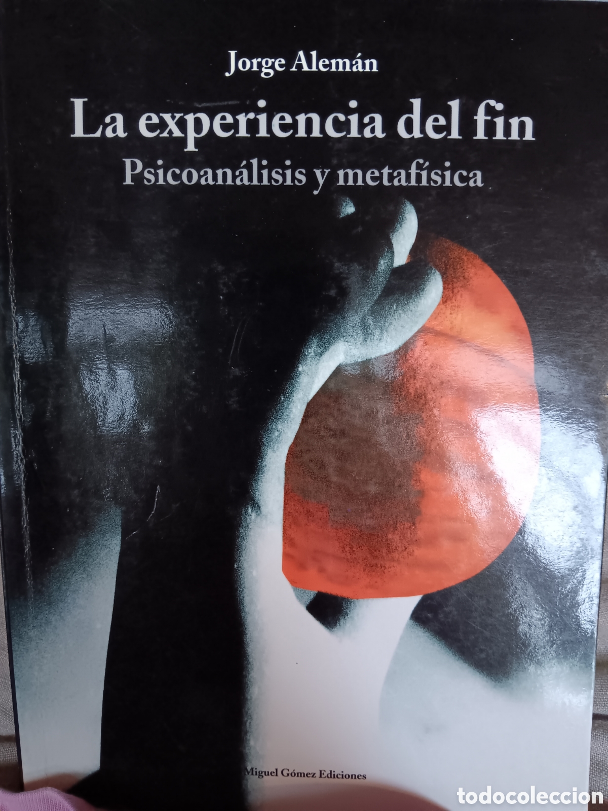 Libros de segunda mano: Jorge Alem&aacute;n. La experiencia del fin - Foto 1
