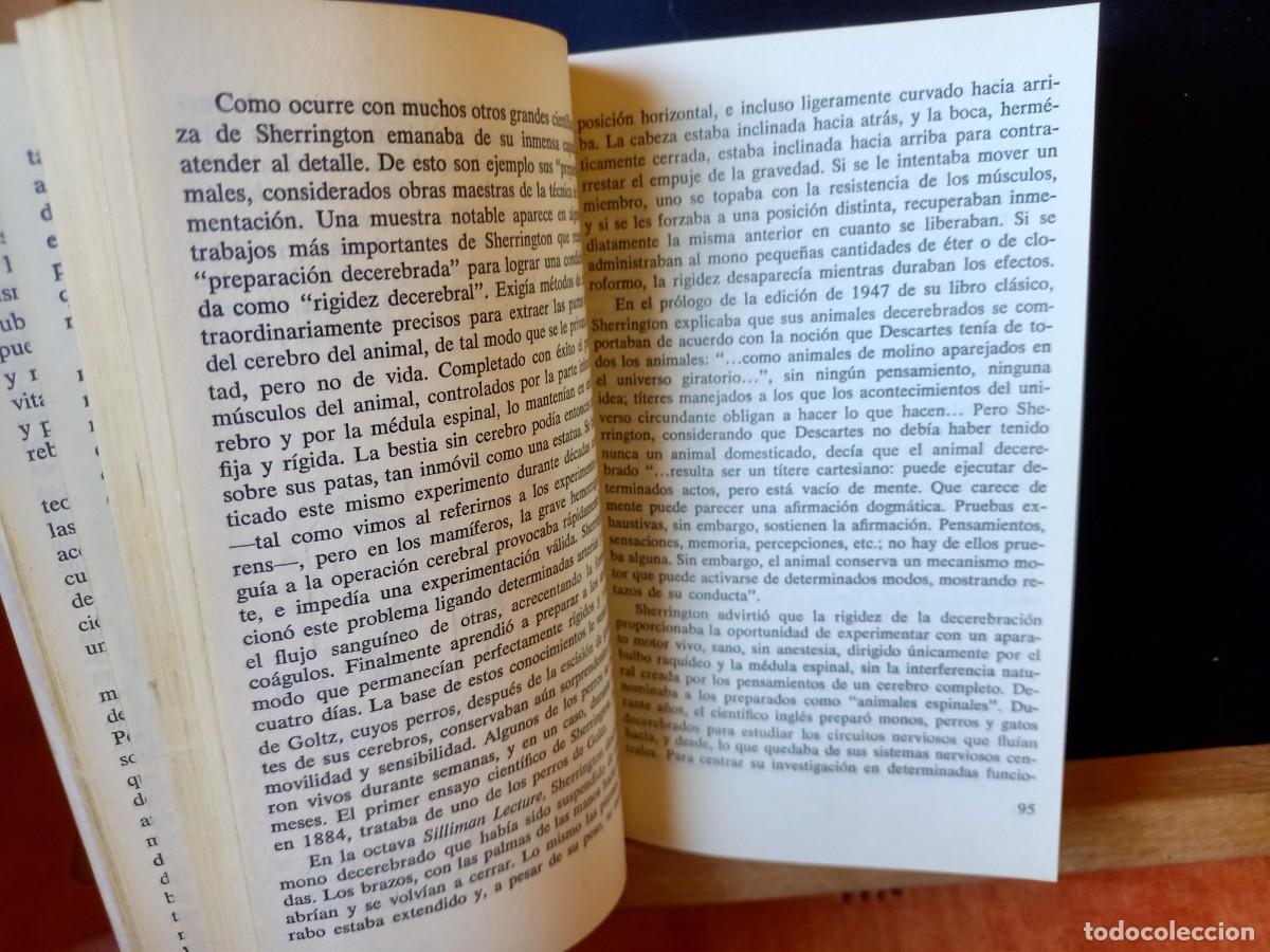 Libros de segunda mano: EXPLORADORES DEL CEREBRO. LEONARD A. STEVENS. EDICIONES DE BOLSILLO. 1974 - Foto 7