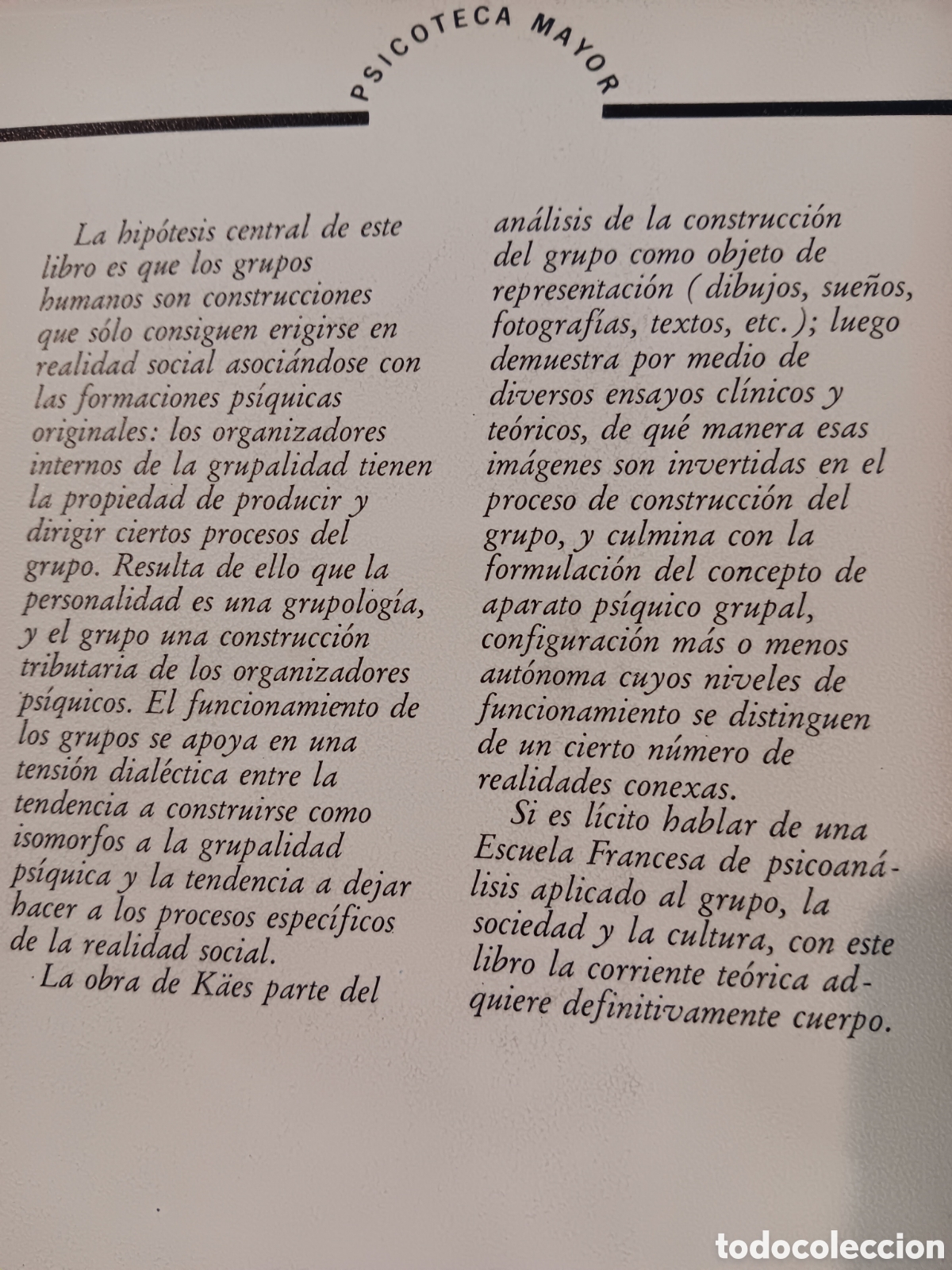 Libros de segunda mano: Rene Kaes. El Aparato ps&iacute;quico grupal - Foto 2