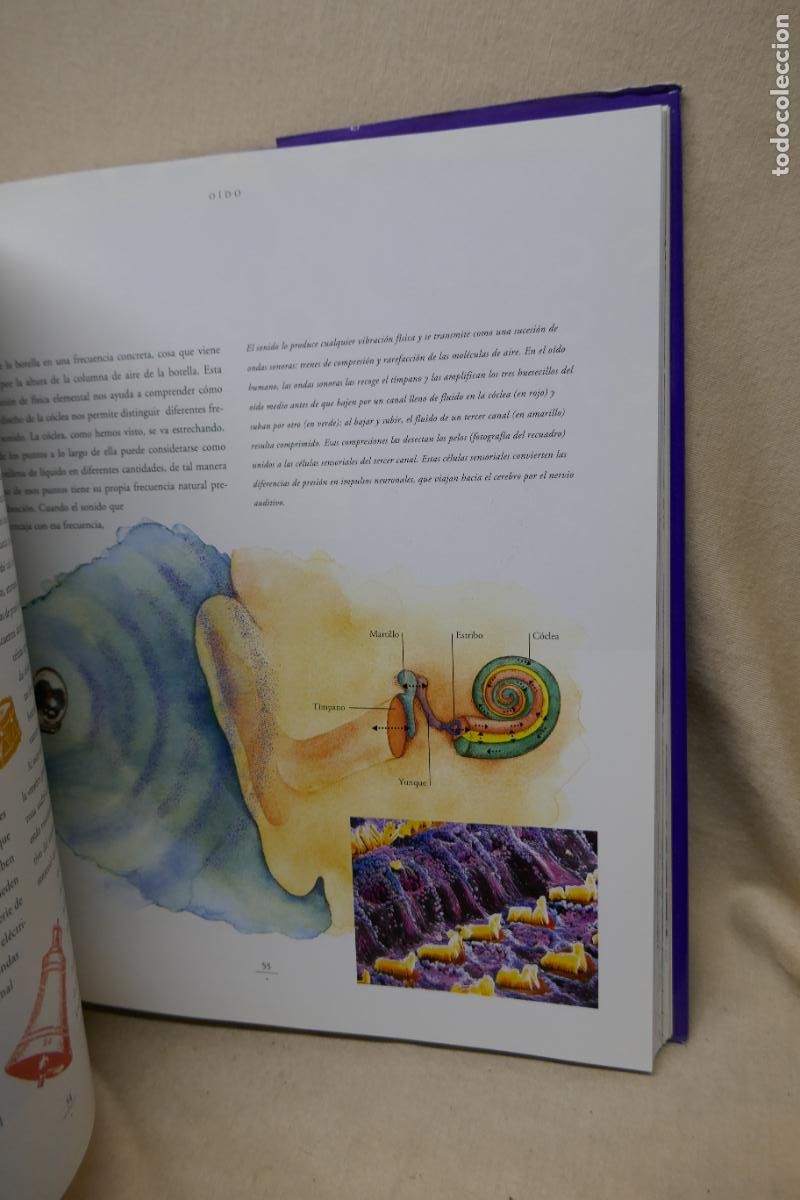 Libros de segunda mano: EL LENGUAJE SECRETO DE LA MENTE - David Cohen - Foto 12