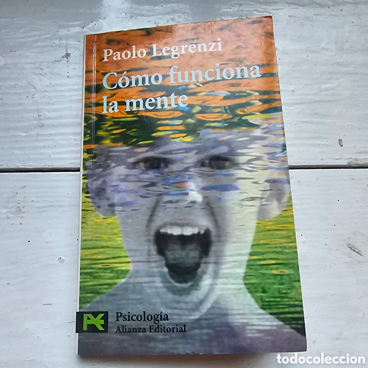 Libros de segunda mano: C&Oacute;MO FUNCIONA LA MENTE. LEGRENZI - Foto 1