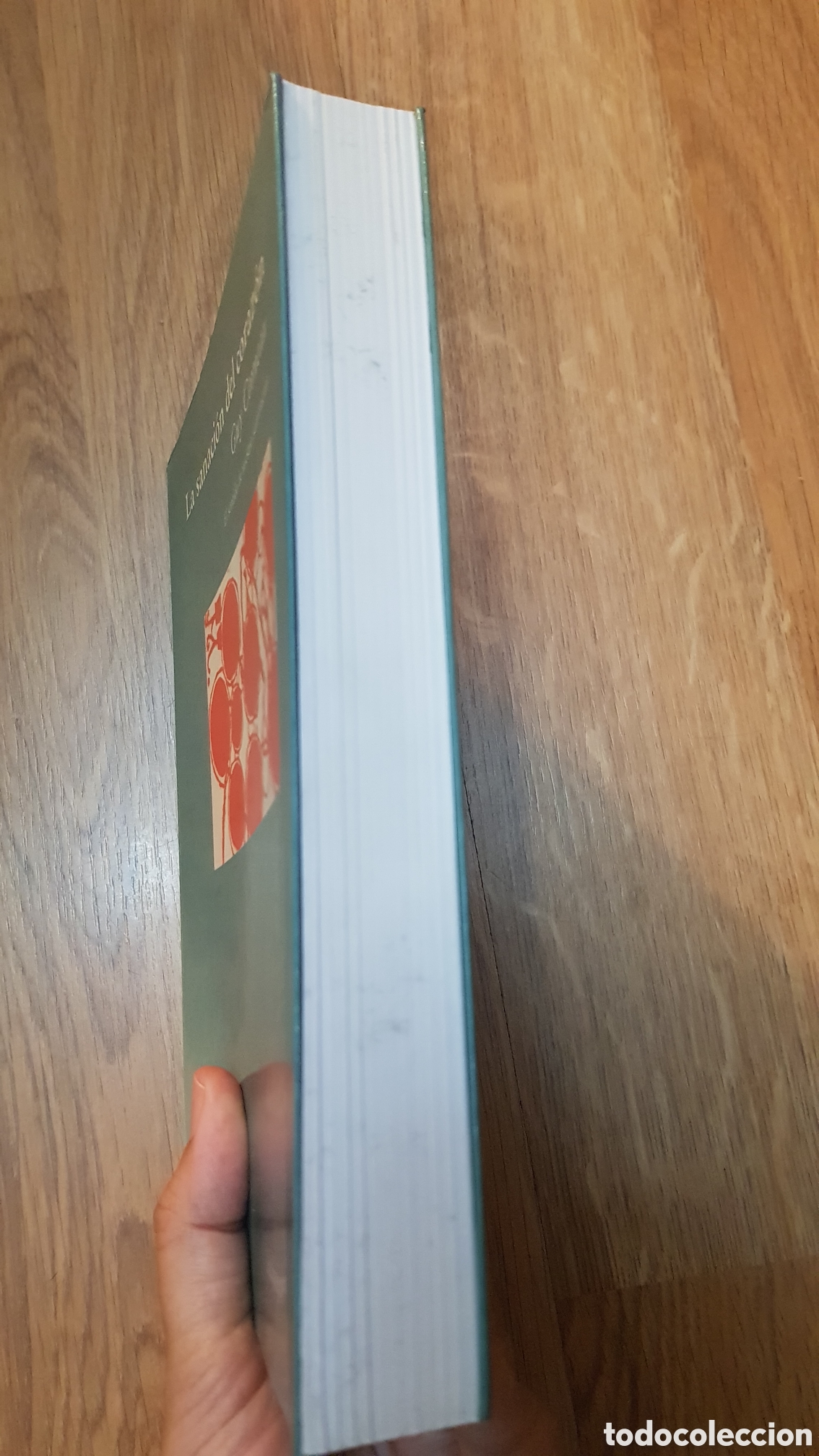 Libros de segunda mano: La sanacion del corazon - Foto 3