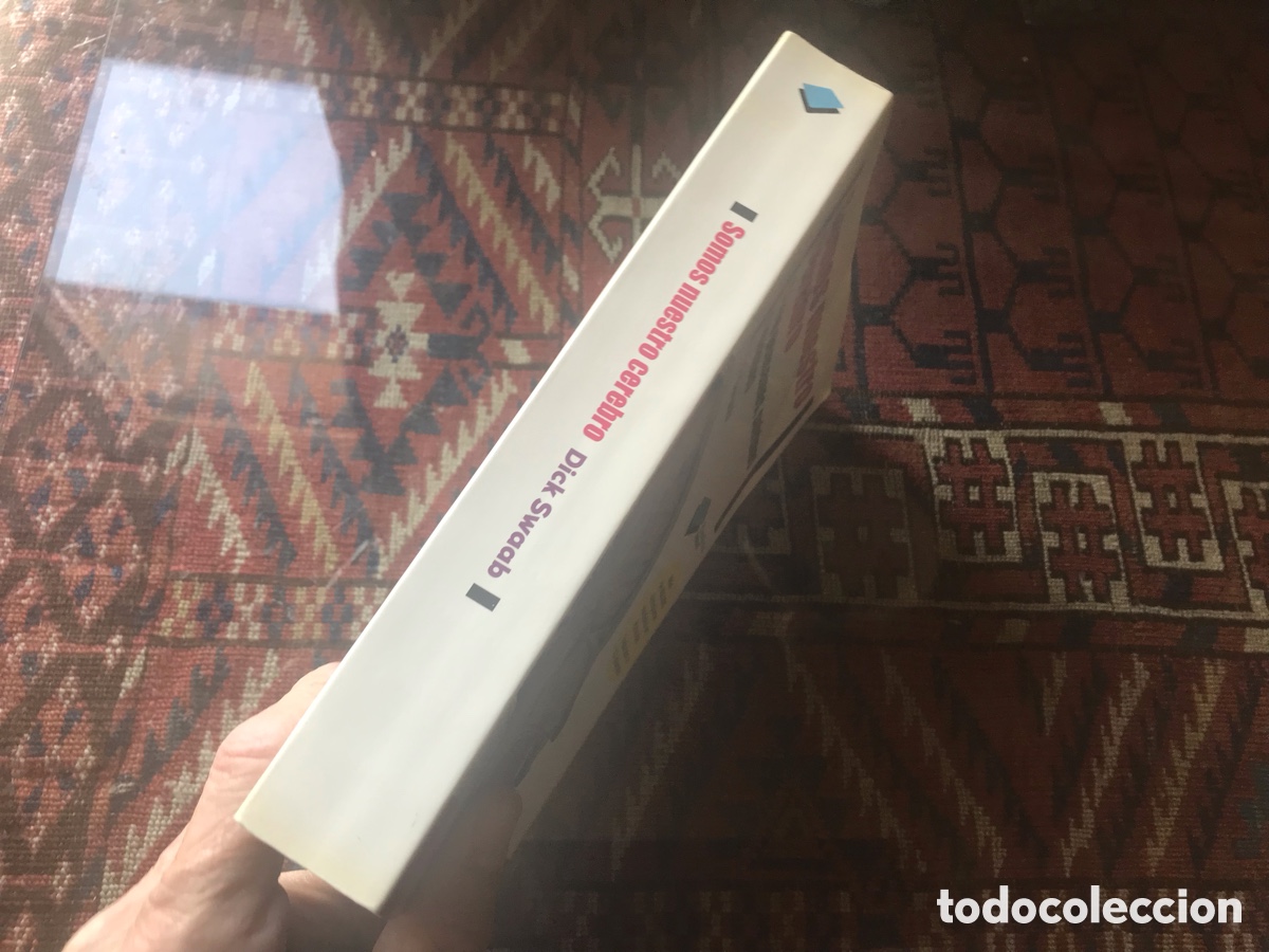 Libros de segunda mano: Somos nuestro cerebro. Dick Swaab - Foto 2