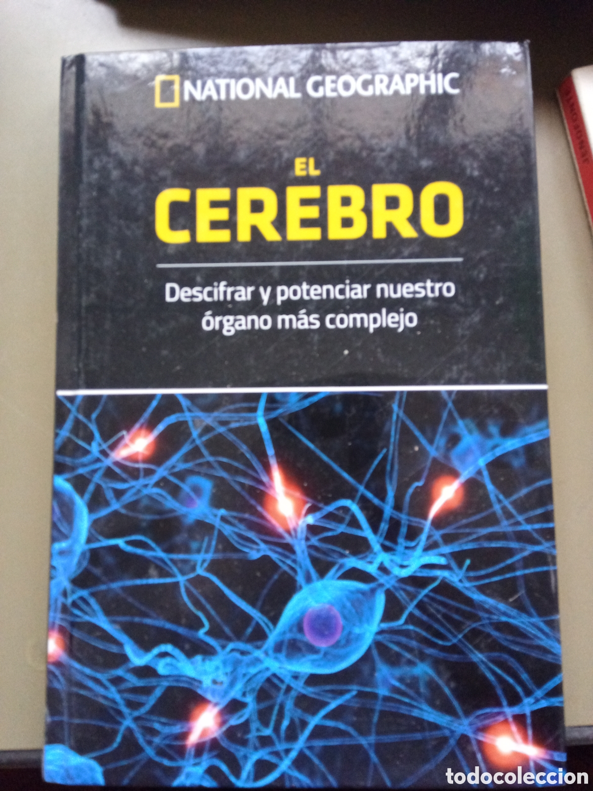 Libros de segunda mano: El cerebro. National geographic - Foto 1