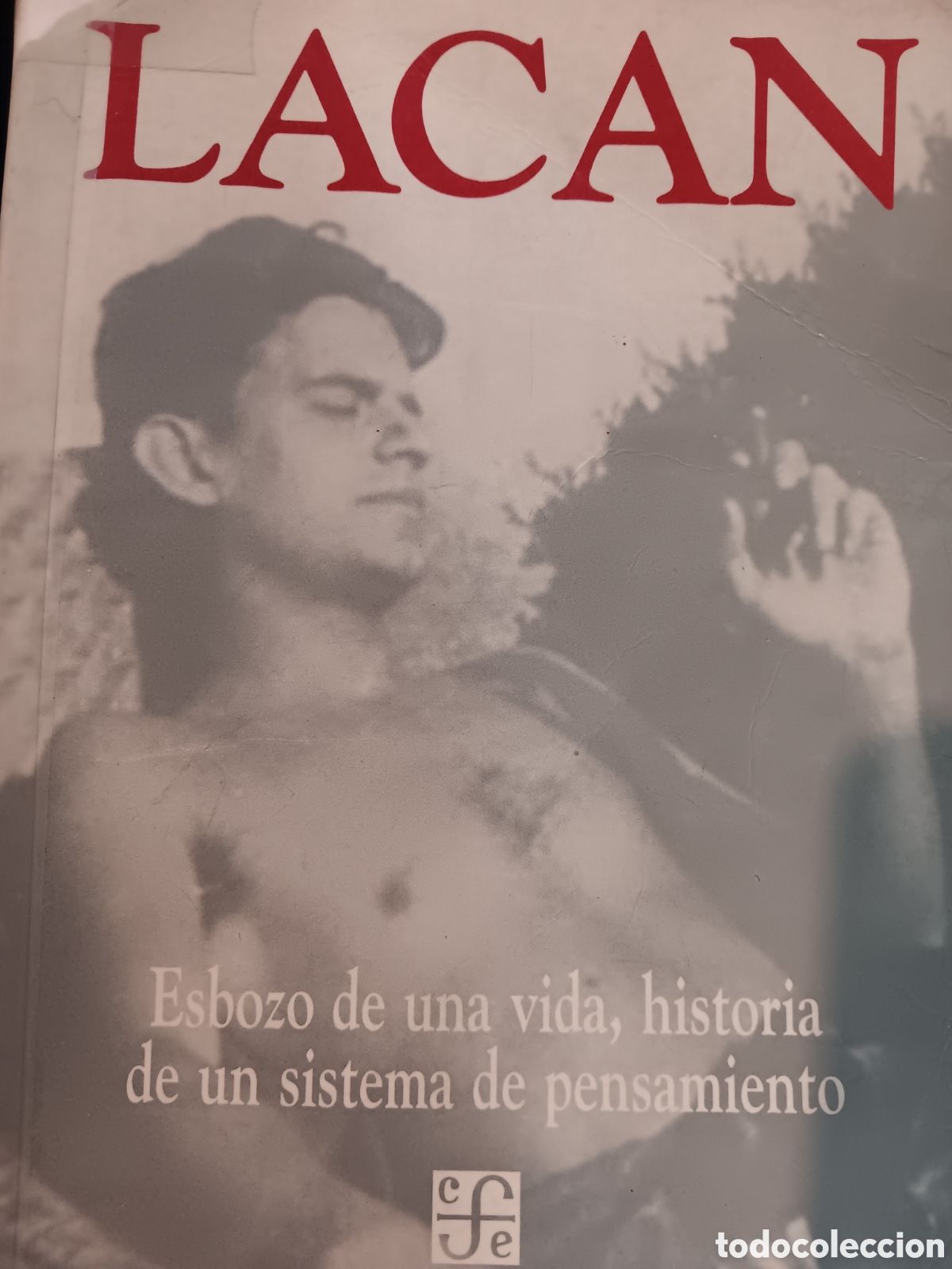 Libros de segunda mano: Elisabeth Roudinesco. Lacan - Foto 1