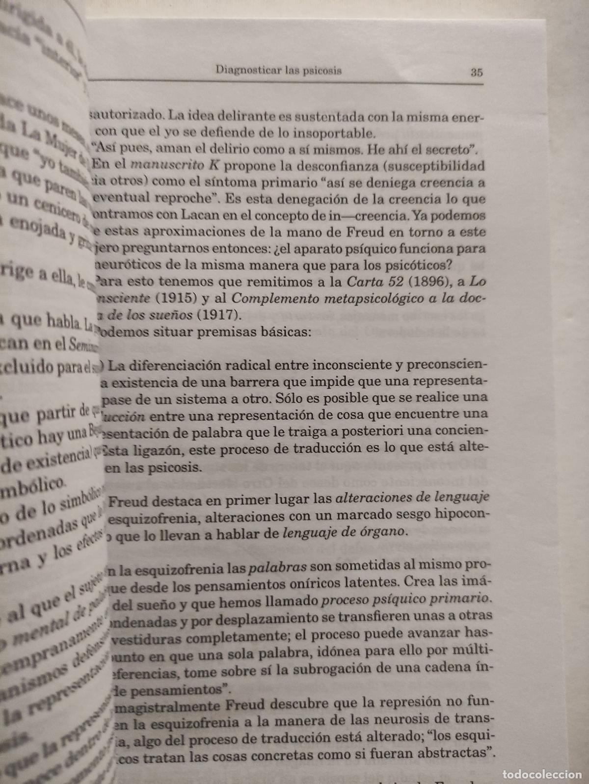 Libros de segunda mano: DIAGNOSTICAR LA PSICOSIS - ELIDA E. FERNANDEZ - Foto 2