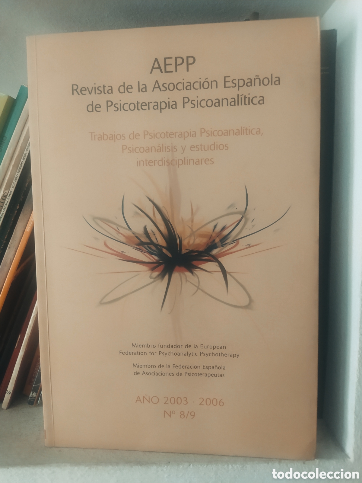 Libros de segunda mano: Revista AEPP. N&uacute;mero 8/9. 2003-2006. - Foto 1