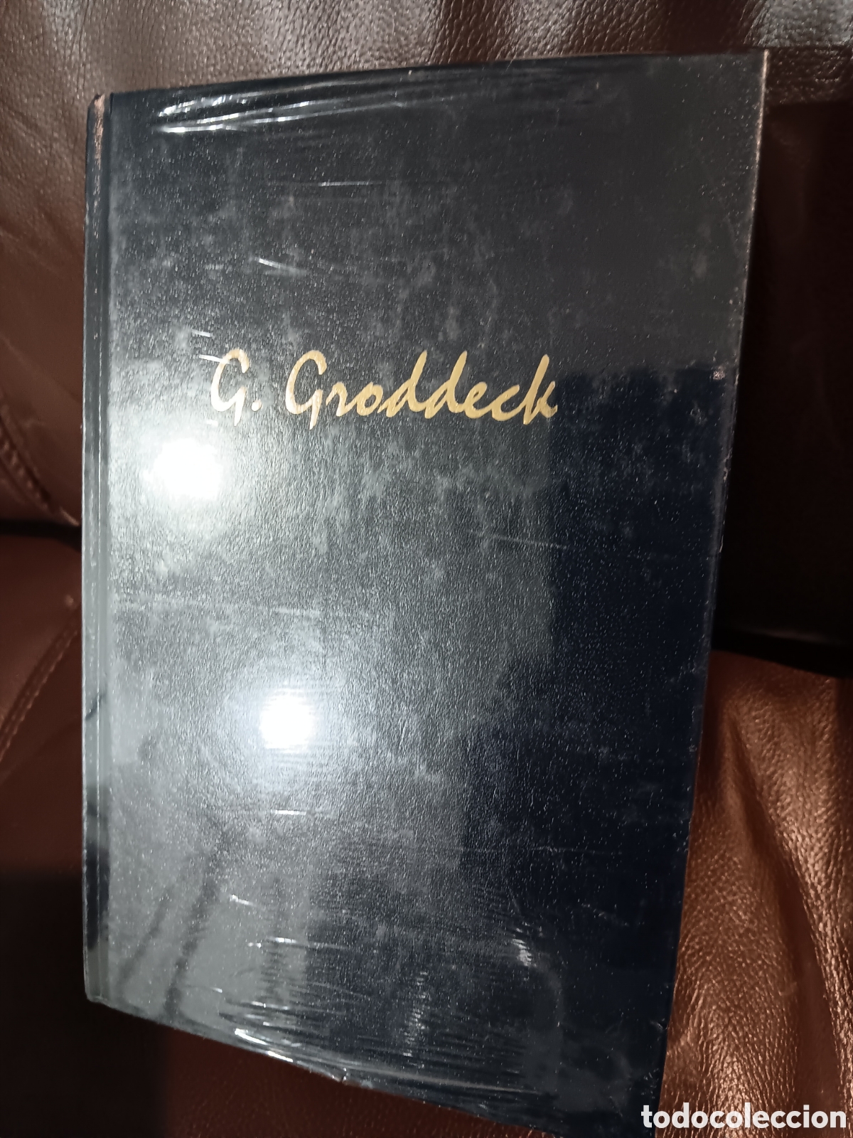 Libros de segunda mano: G. Groddeck. Obras escogidas - Foto 2