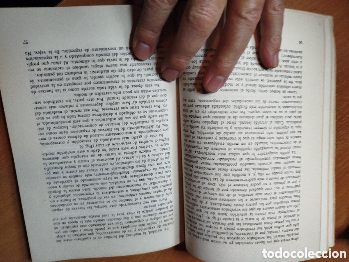 Libros de segunda mano: La educaci&oacute;n en la confianza. Luis corman - Foto 2