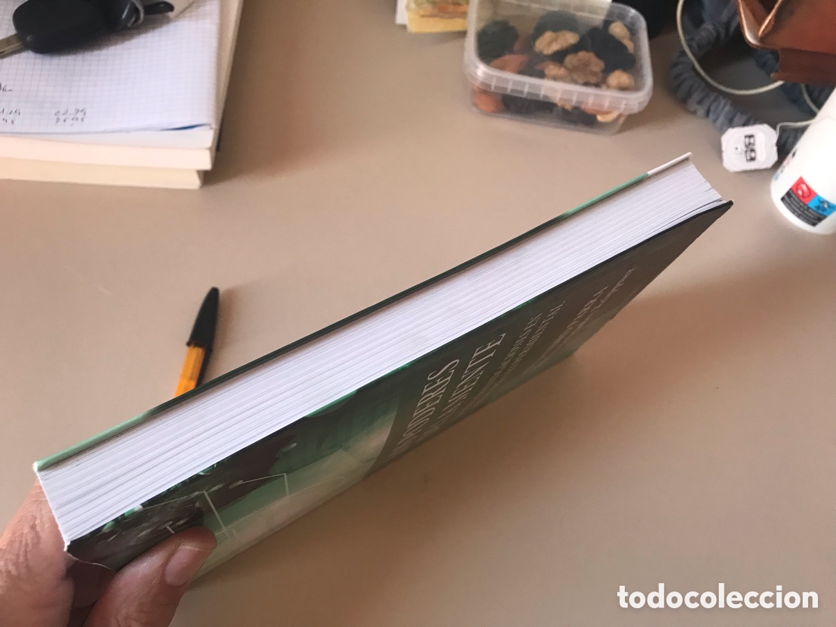 Libros de segunda mano: Los poderes de la mente. Alejandro Parra. Coronaborealis - Foto 4