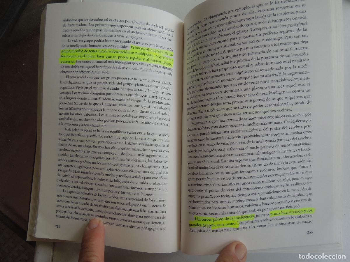 Libros de segunda mano: COMO FUNCIONA LA MENTE - STEVEN PINKER - DESTINO 2000 - Foto 4