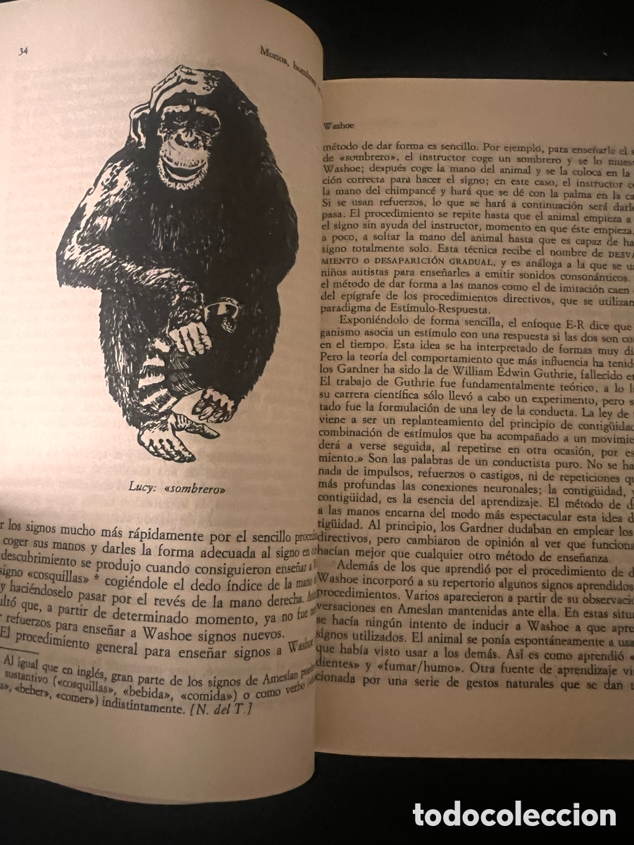 Libros de segunda mano: Monos, hombres y lenguaje. Eugene Linden. - Foto 5