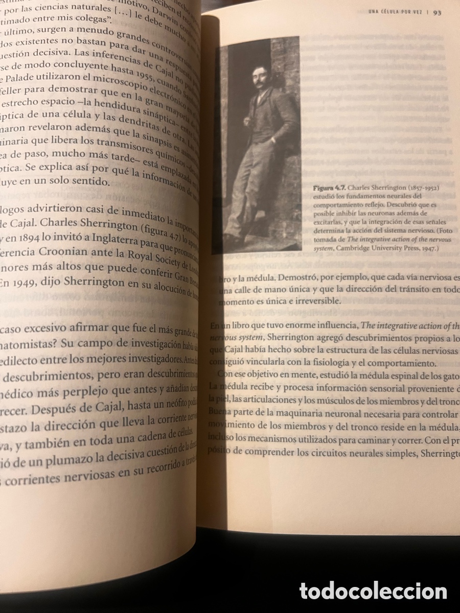 Libros de segunda mano: En busca de la memoria . Eric R. Kandel. - Foto 6