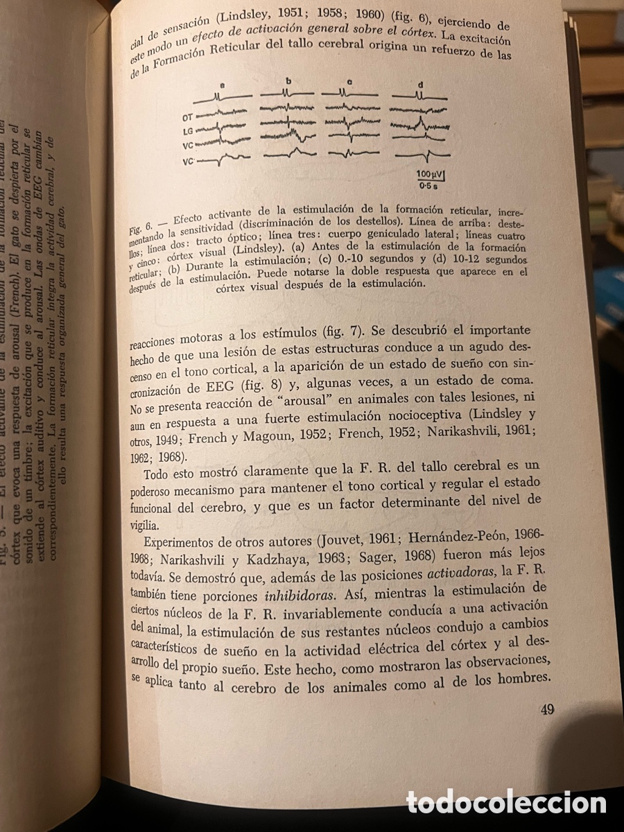 Libros de segunda mano: El cerebro en acci&oacute;n. A.R. Luria . - Foto 3