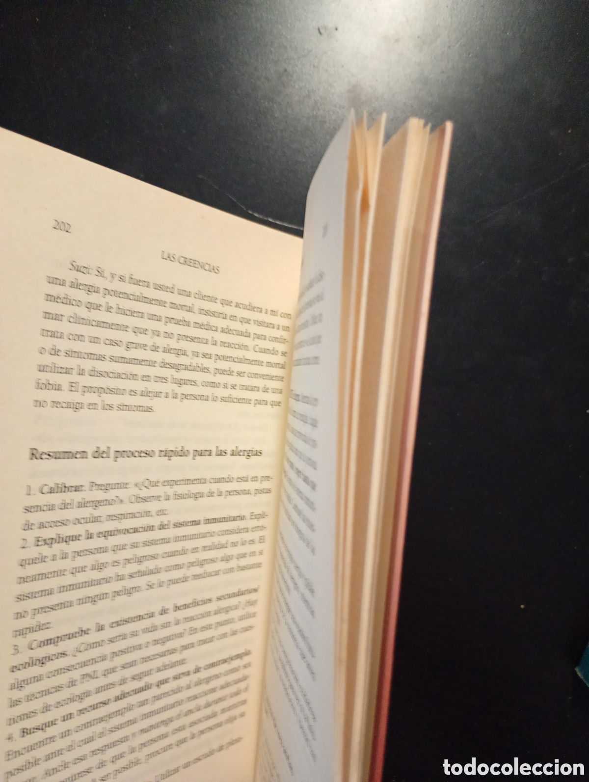 Libros de segunda mano: Identificaci&oacute;n y cambio de creencias. PNL. - Foto 4