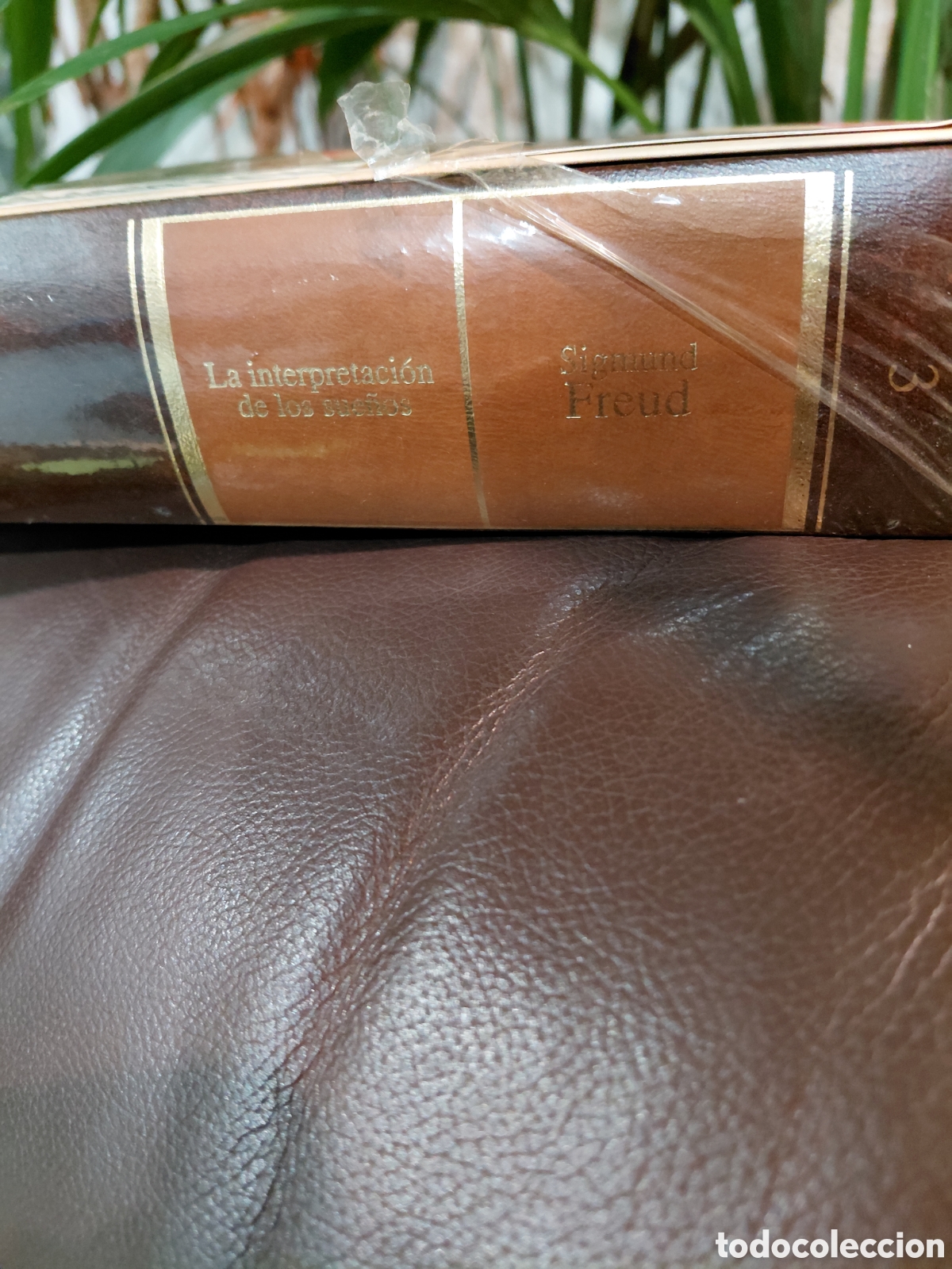 Libros de segunda mano: S. Freud. La interpretaci&oacute;n de los sue&ntilde;os - Foto 2