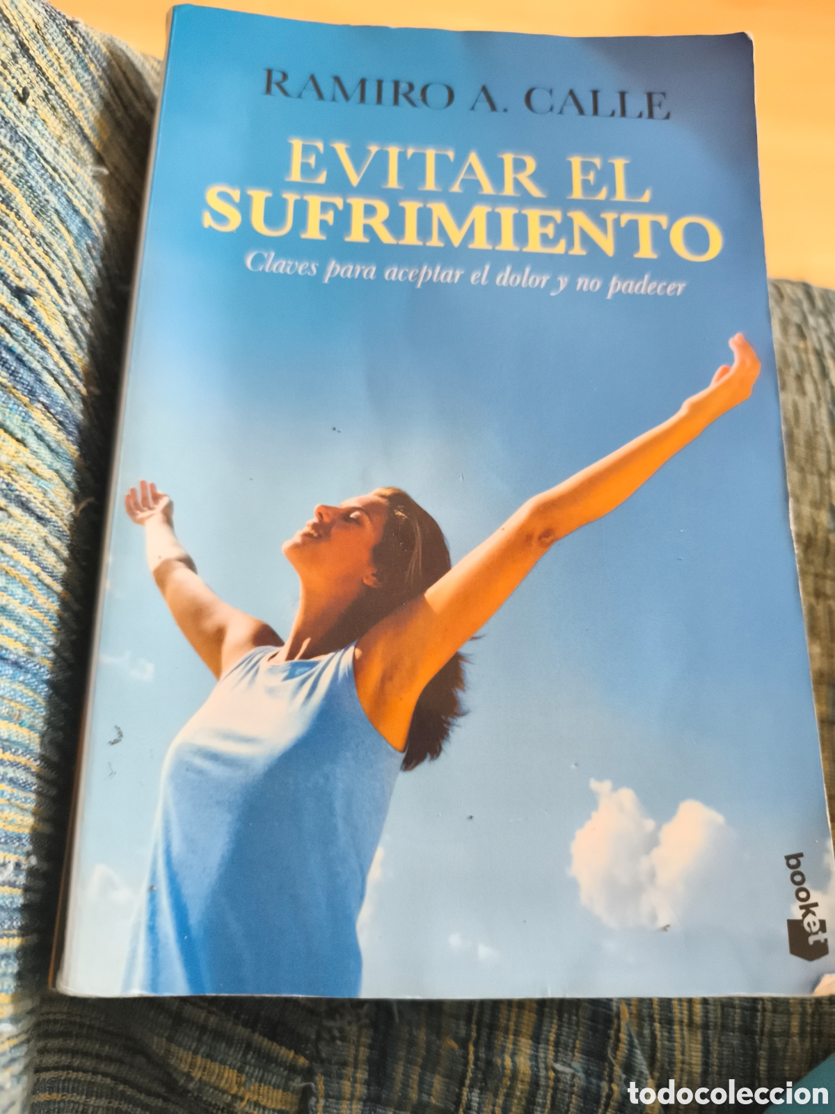 Libros de segunda mano: Evitar el sufrimiento Ramiro A Calle - Foto 1
