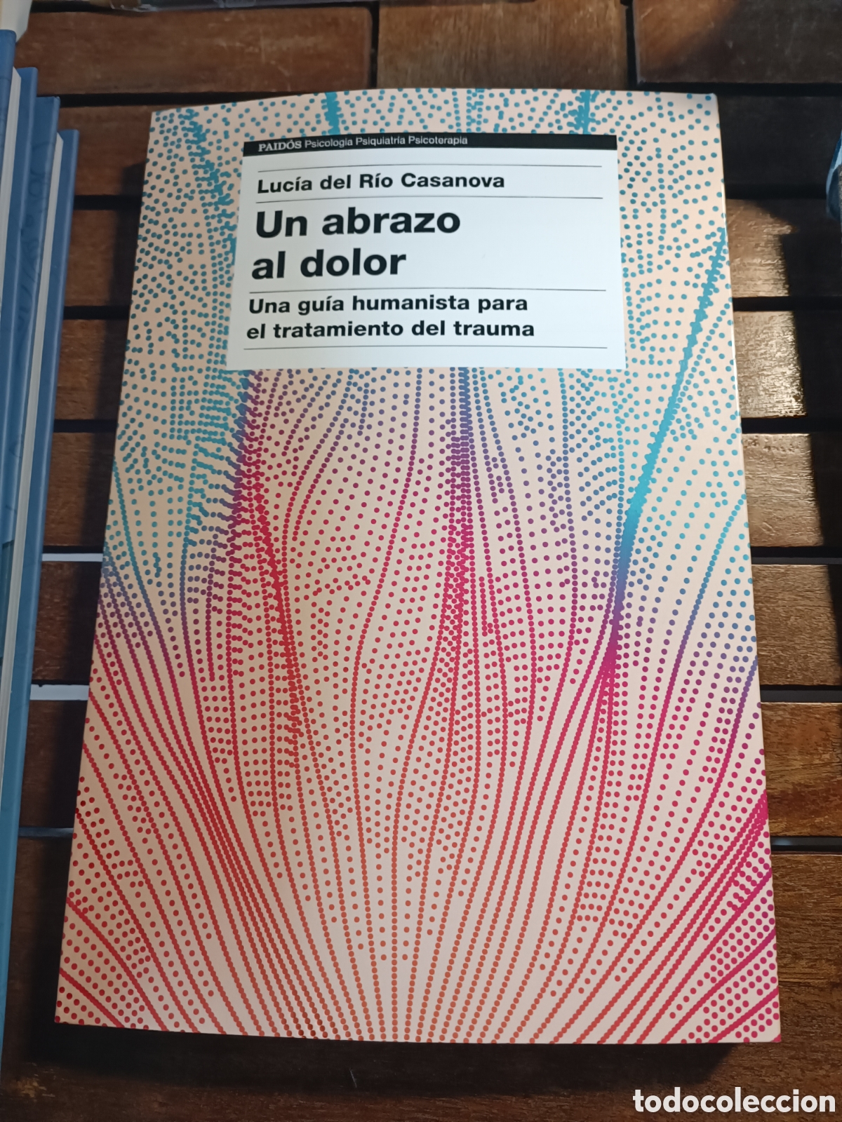 Libri di seconda mano: Un abrazo al dolor Una gu&iacute;a humanista para el tratamiento del trauma Luc&iacute;a del R&iacute;o paidos feb 2026
