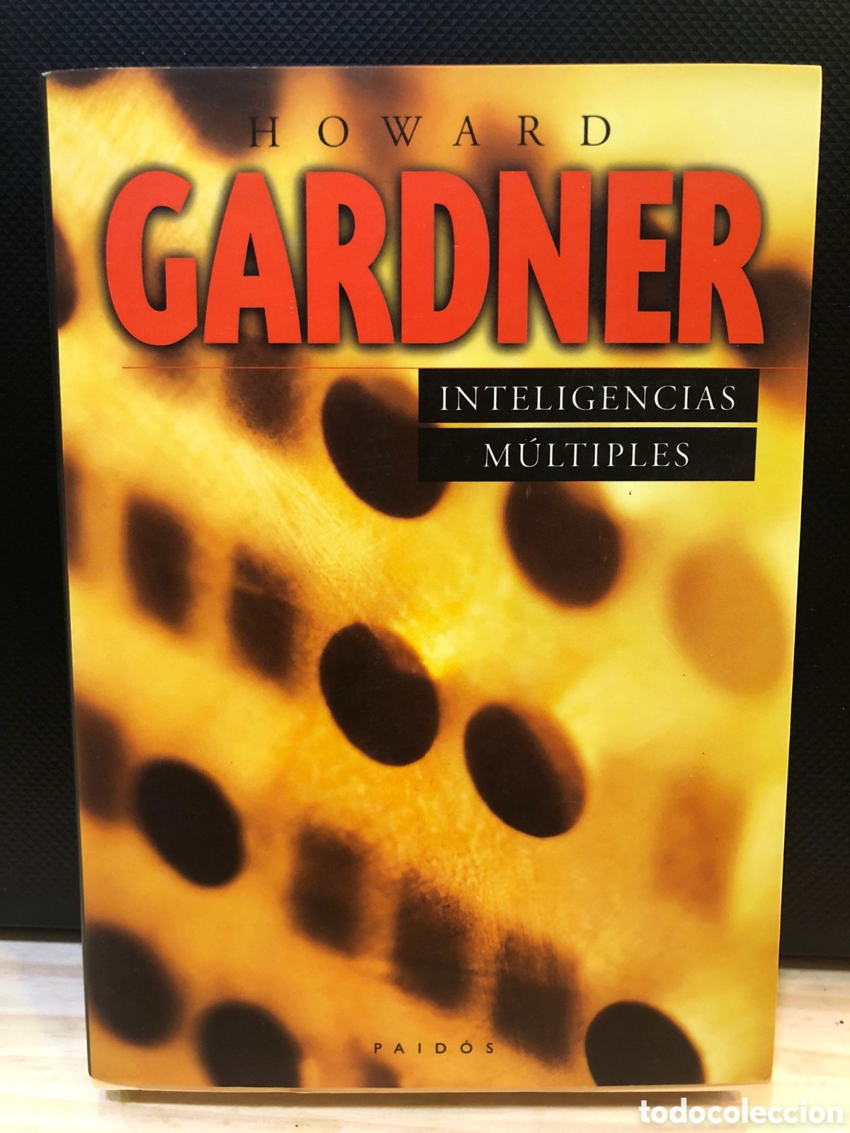 Libros de segunda mano: Inteligencias m&uacute;ltiples - Howard Gardner - Foto 1