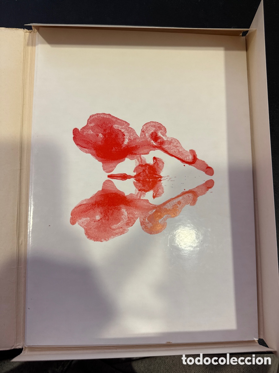 Libros de segunda mano: ISIDORO, R. L&aacute;minas proyectivas - Foto 2