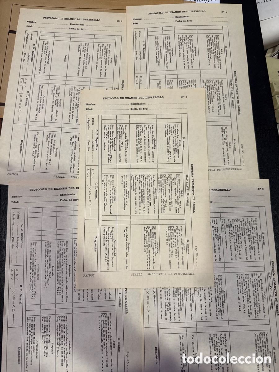 Libros de segunda mano: BERNSTEIN, Jaime. Diagn&oacute;stico del desarrollo - Foto 4