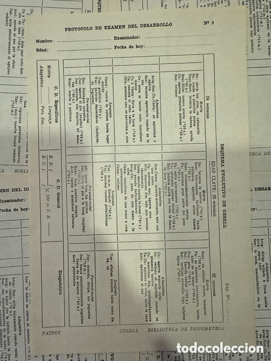 Libros de segunda mano: BERNSTEIN, Jaime. Diagn&oacute;stico del desarrollo - Foto 5