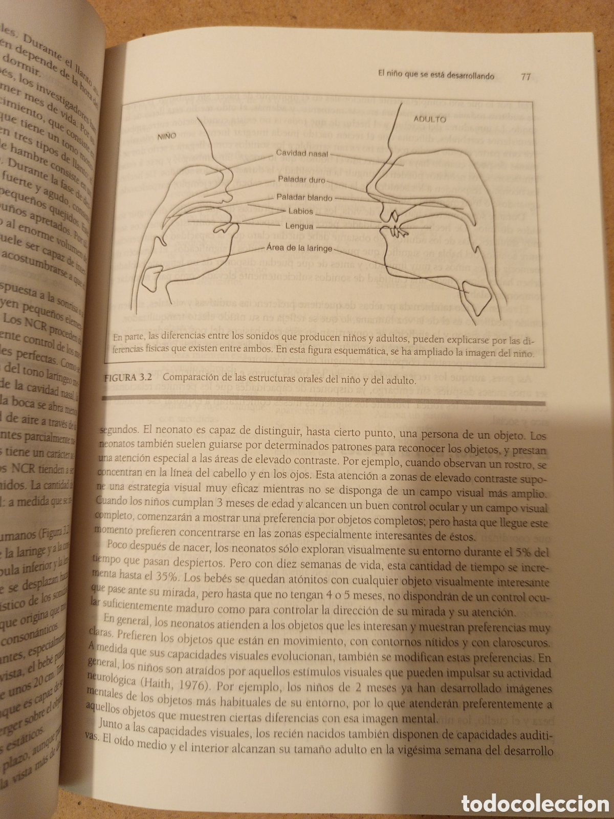Libros de segunda mano: DESARROLLO DEL LENGUAJE (ROBERT E. OWENS, JR.) - Foto 12