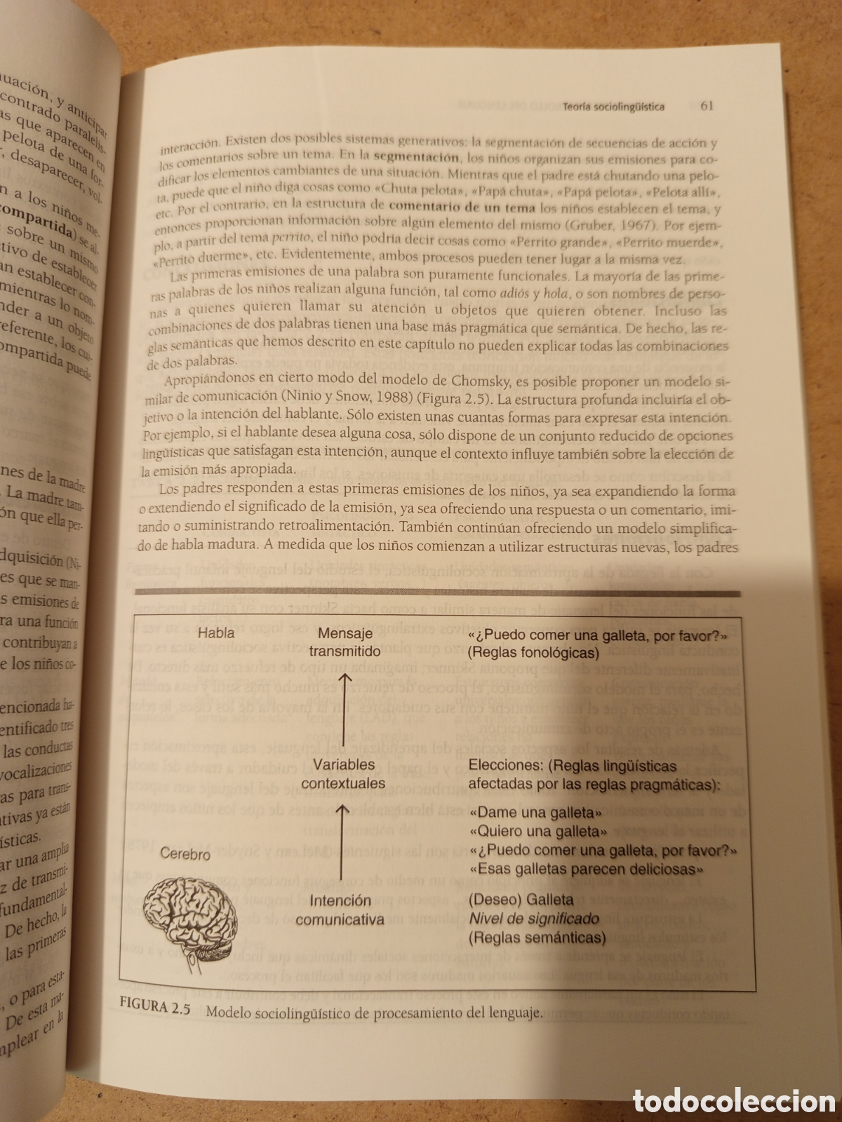 Libros de segunda mano: DESARROLLO DEL LENGUAJE (ROBERT E. OWENS, JR.) - Foto 13