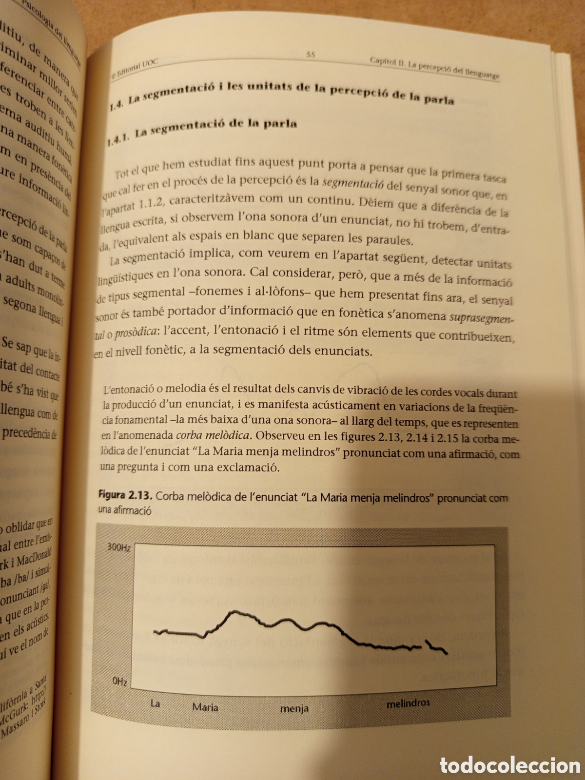 Libros de segunda mano: PSICOLOGIA DEL LLENGUATGE (OLGA SOLER) UOC - Foto 8