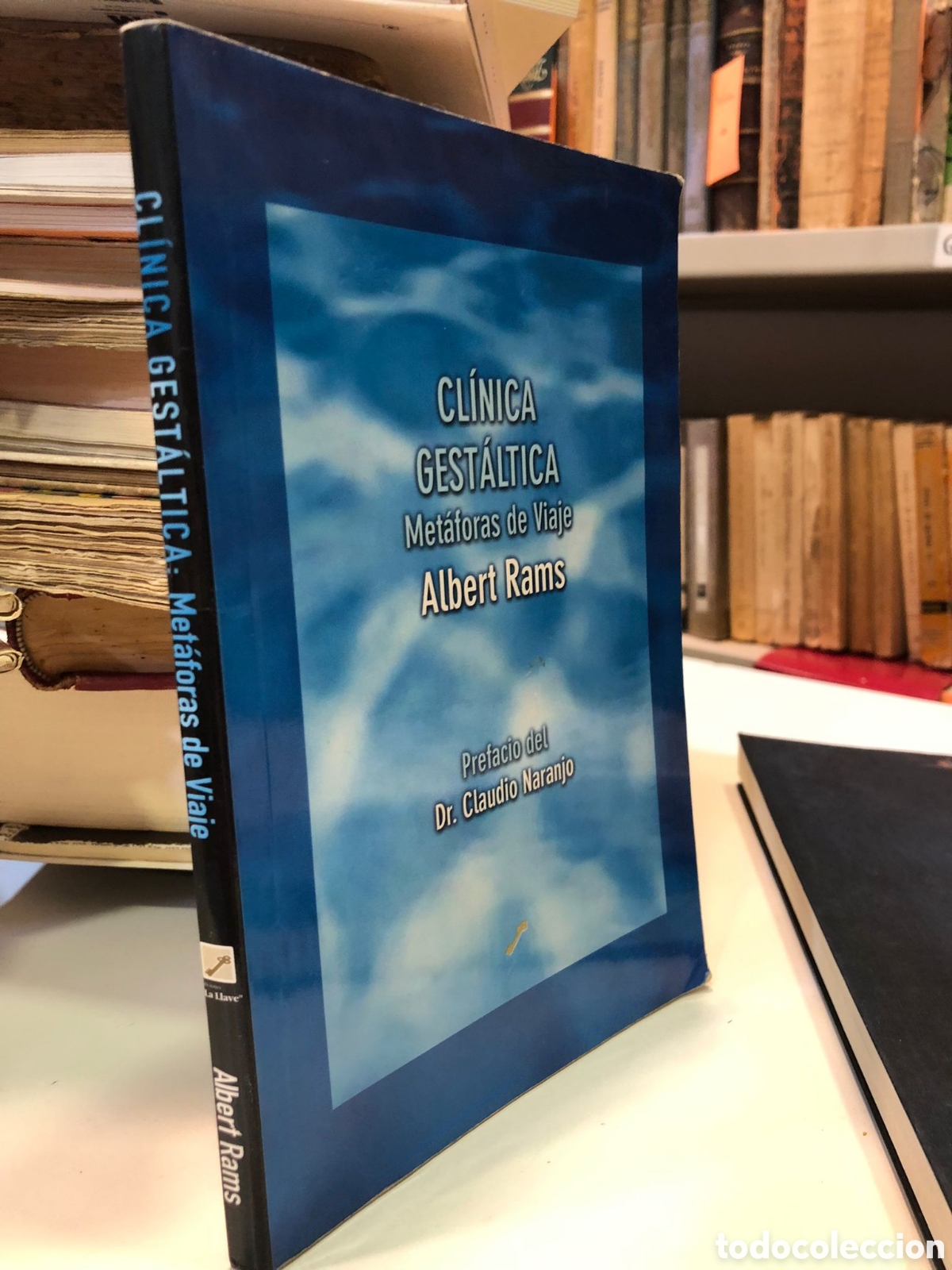 Libros de segunda mano: Cl&iacute;nica Gest&aacute;ltica. Met&aacute;foras de Viaje - Albert Rams