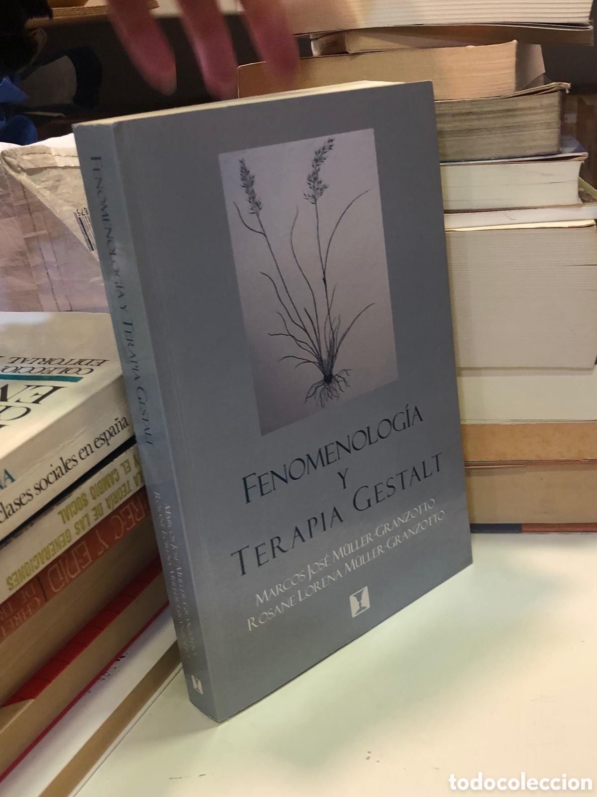 Libri di seconda mano: Fenomenolog&iacute;a y terapia Gestalt - Marcos Jos&eacute; M&uuml;ller-Granzotto y Rosane Lorena M&uuml;ller-Granzotto