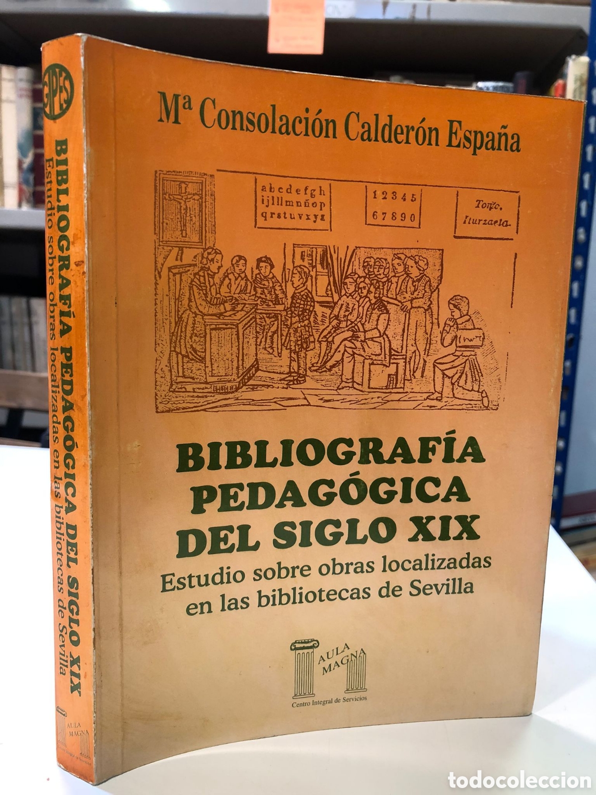 Second hand books: Bibliograf&iacute;a pedag&oacute;gica del siglo XIX. Estudio sobre las obras... - M. Consolaci&oacute;n Calder&oacute;n Espa&ntilde;a