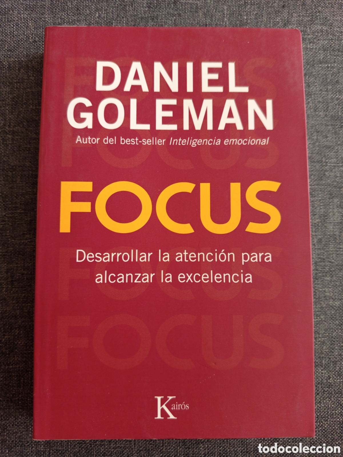 Libros de segunda mano: FOCUS. DESARROLLAR LA ATENCION PARA ALCANZAR LA EXCELENCIA (DANIEL GOLEMAN)