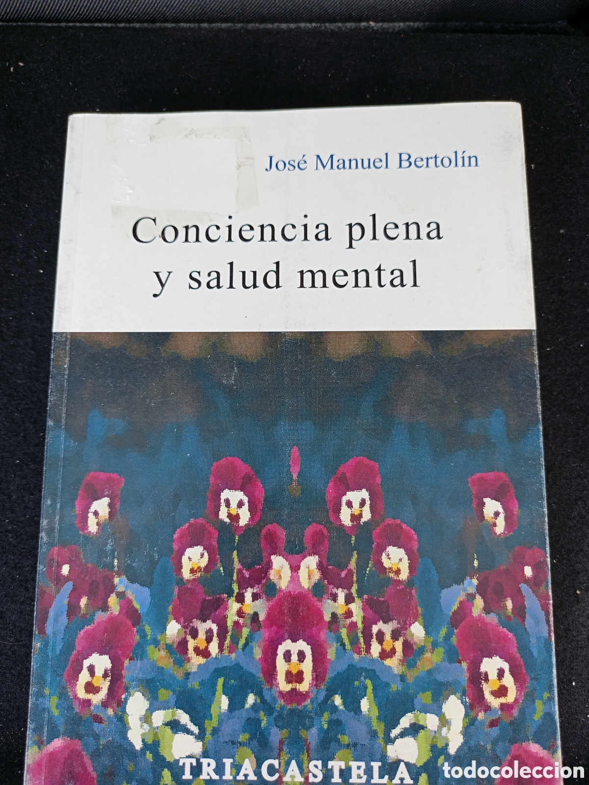 Libros de segunda mano: CONCIENCIA PLENA Y SALUD MENTAL - Foto 1