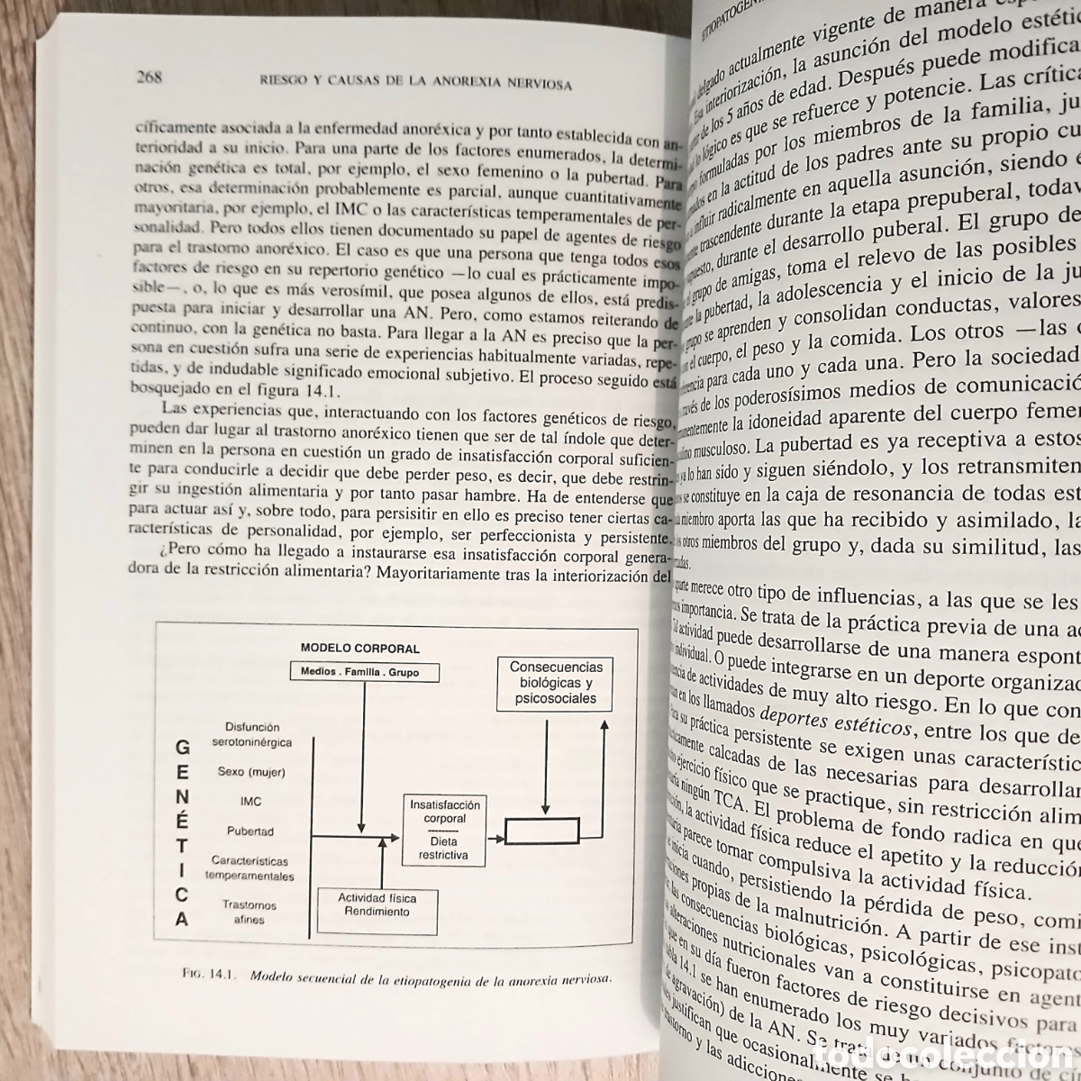 Libros de segunda mano: Riesgo y causas de la anorexia nerviosa - Foto 12