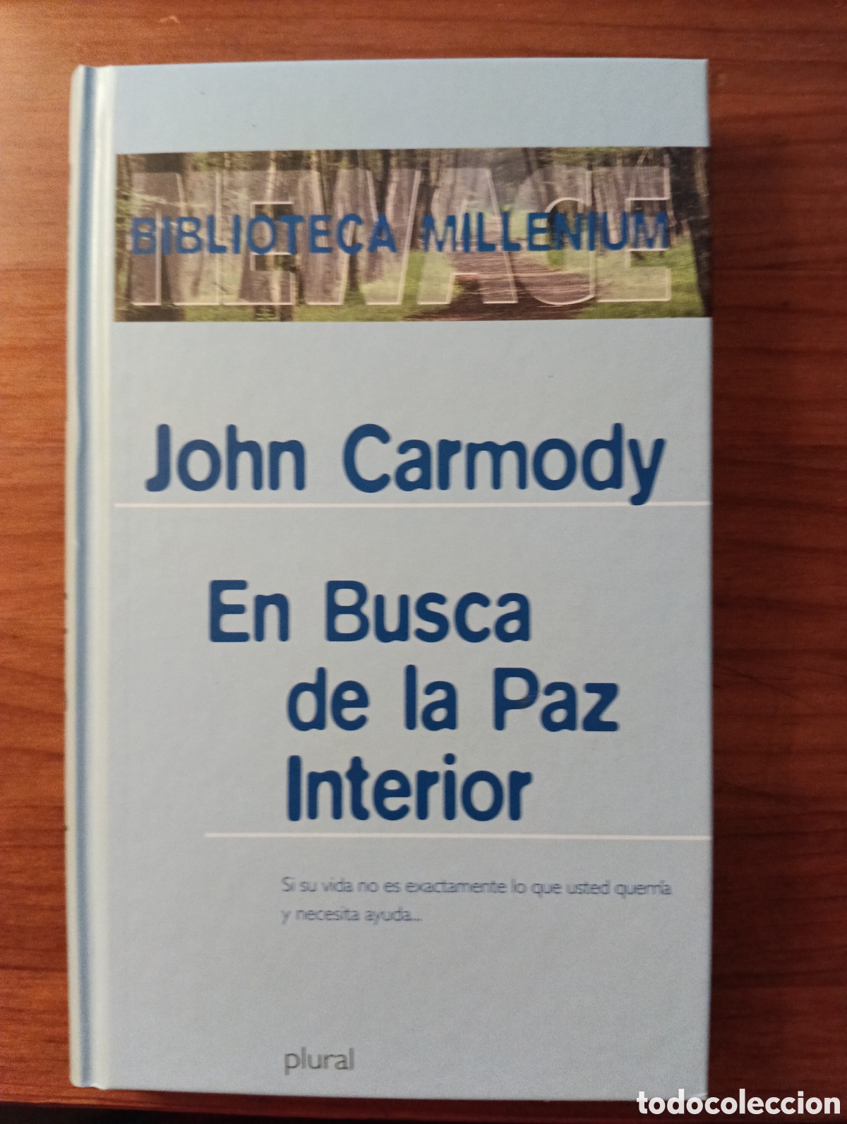 Libros de segunda mano: En busca de la Paz Interior - John Carmody - Biblioteca Millenium. New Age - 2000