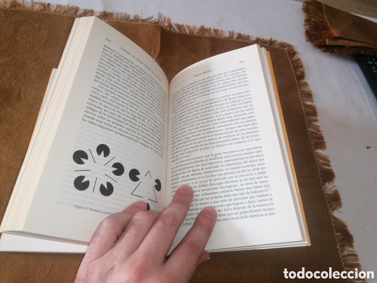 Libros de segunda mano: Libro: CEREBRO DE LIEBRE, MENTE DE TORTUGA - Guy Claxton - Foto 6