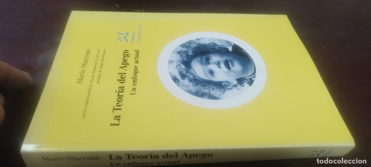Libros de segunda mano: LA TEORIA DEL APEGO, UN ENFOQUE ACTUAL / MARRONE / KARA36 / PSIMATICA