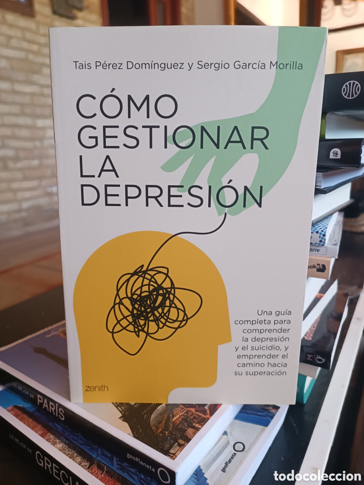 Libros de segunda mano: C&oacute;mo gestionar la depresi&oacute;n Una gu&iacute;a completa para comprender la depresi&oacute;n y el suicidio Tais P&eacute;rez