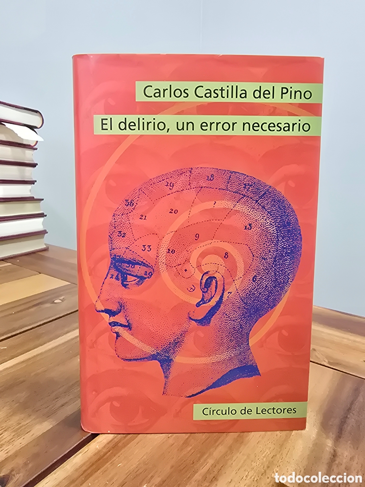 Libros de segunda mano: EL DELIRIO, UN ERROR NECESARIO Carlos Castilla del Pino CIRCULO DE LECTORES 1998 psicologia