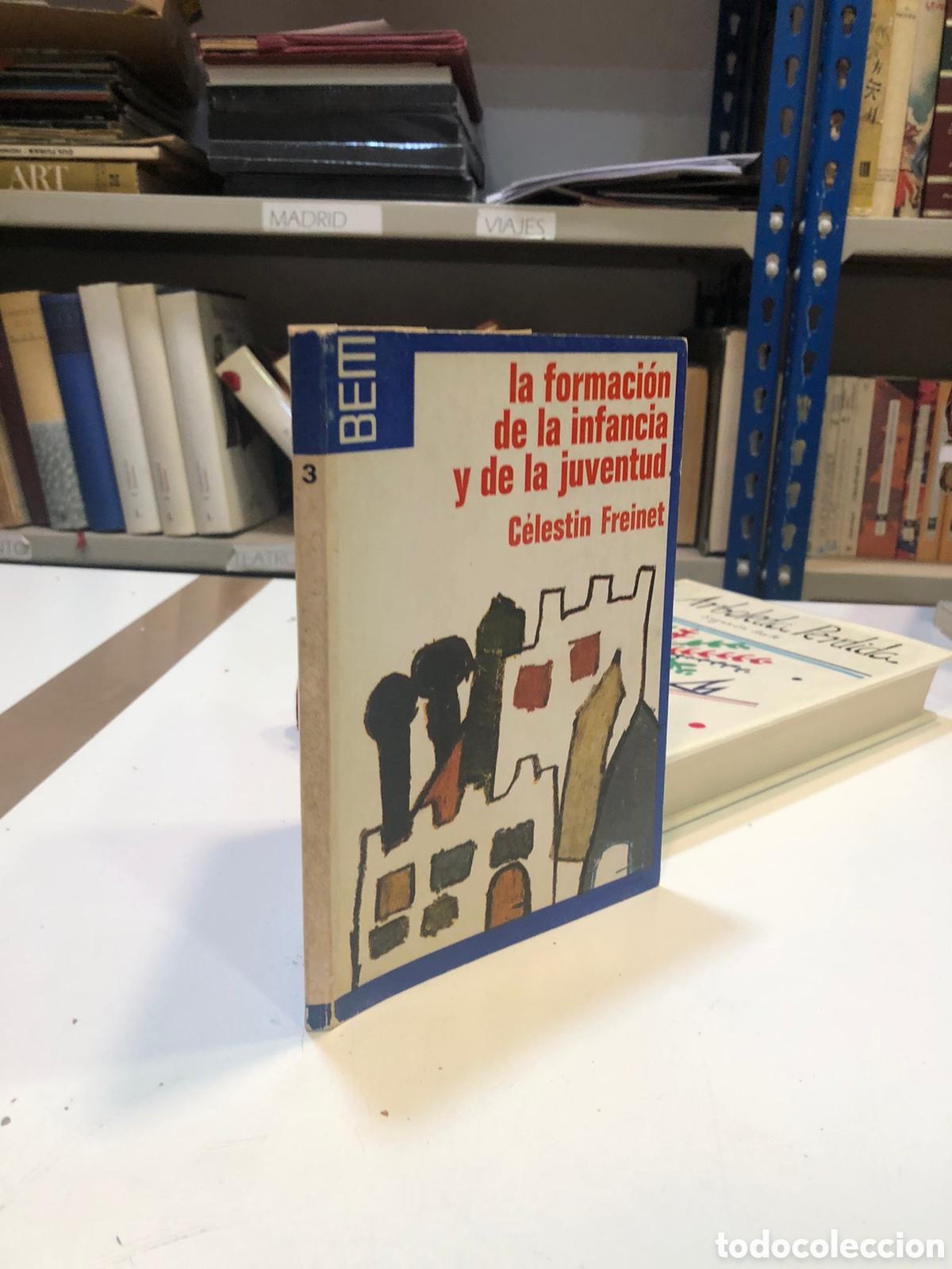 Libros de segunda mano: La formaci&oacute;n de la infancia y de la juventud - Celestin Freinet