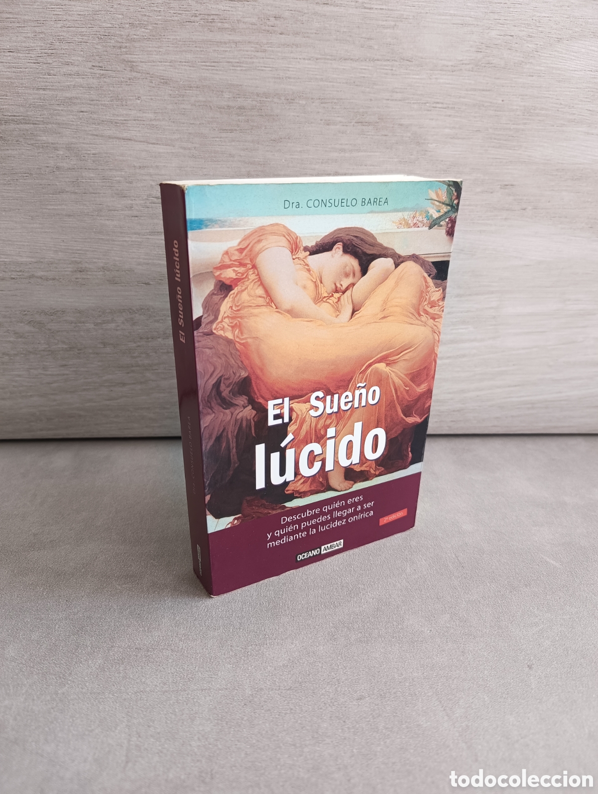Libros de segunda mano: EL SUE&Ntilde;O L&Uacute;CIDO - CONSUELO BAREA