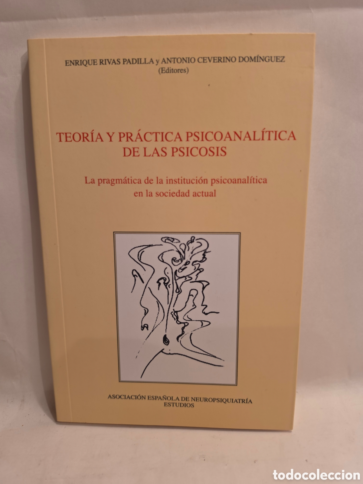 Libros de segunda mano: TEORIA Y PRACTICA PSICOANALITICA DE LAS PSICOSIS. ENRIQUE RIVAS. ANTONIO CEBERINO. 2014.