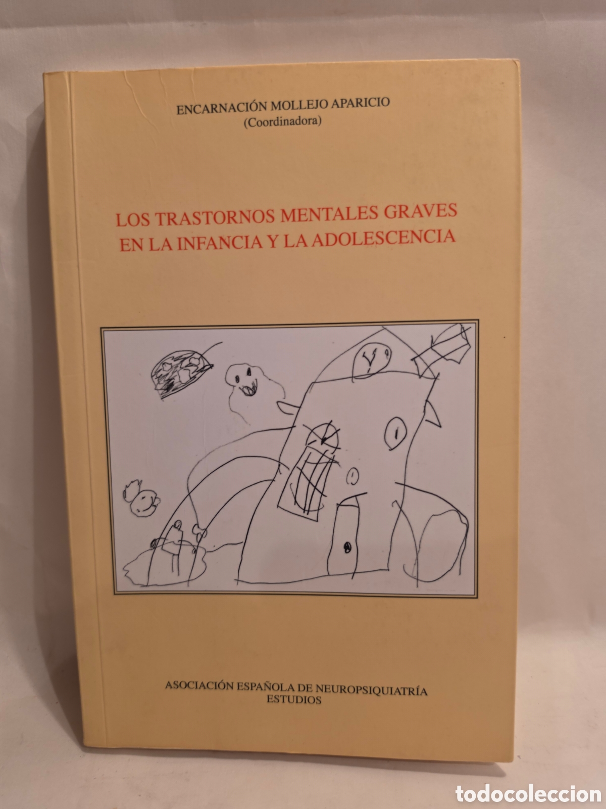 Libros de segunda mano: LOS TRANSTORNOS MENTALES GRAVES EN LA INFANCIA Y LA ADOLESCENCIA. ENCARNACION MOLLEJO. COORDINADORA.