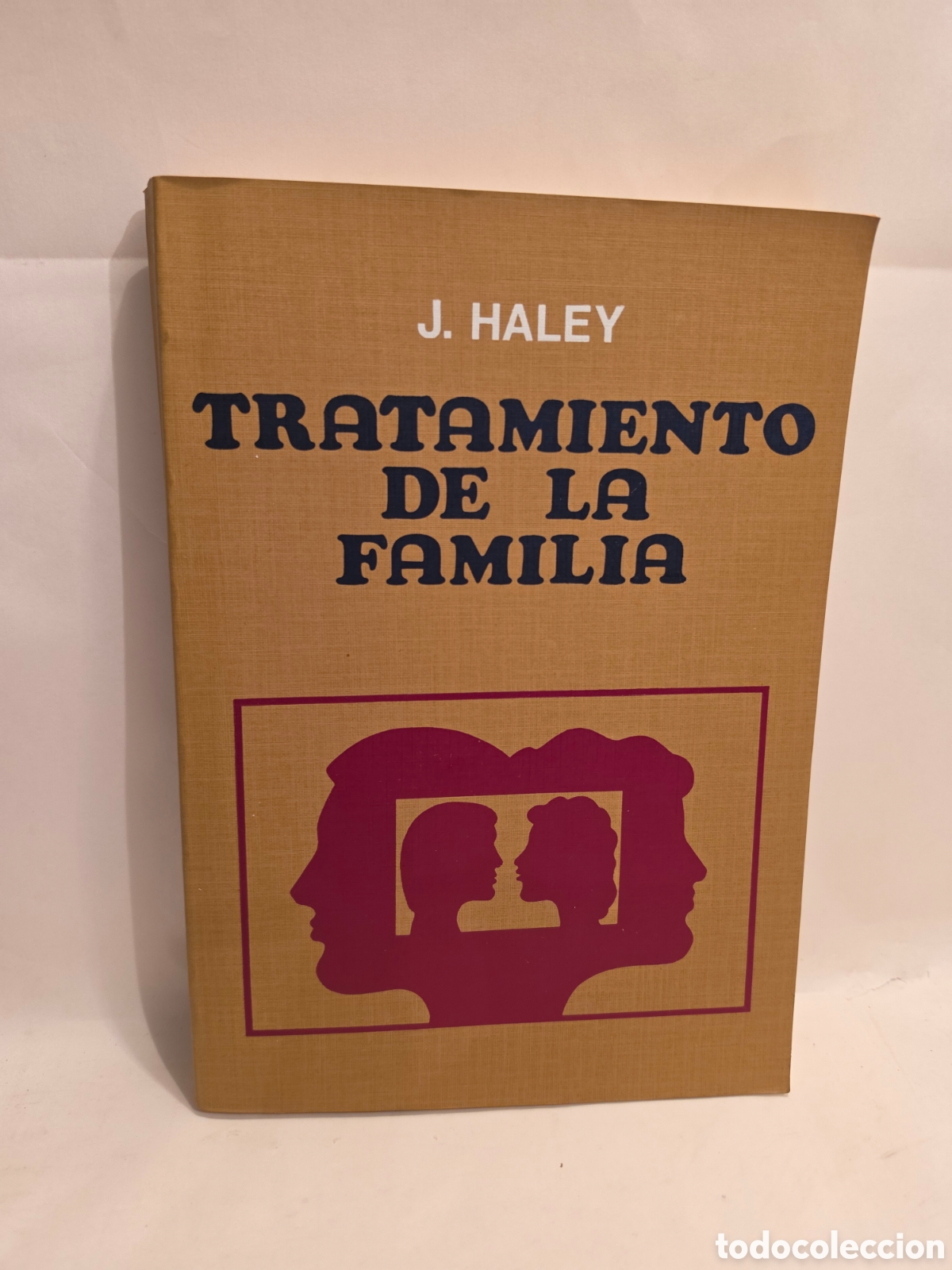 Libros de segunda mano: TRATAMIENTO DE LA FAMILIA. JAY HALEY. EDICIONES TORAY 1986.